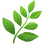 USP Icon 2